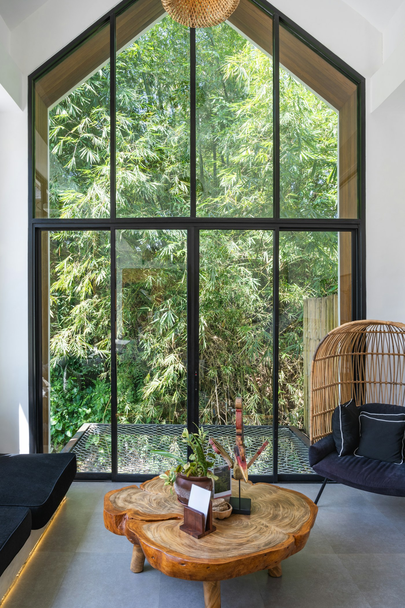 Illustrative black-framed window looking onto bamboo